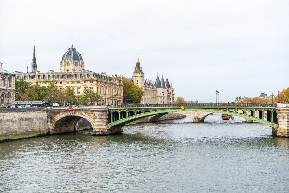 Sena Paris puentes