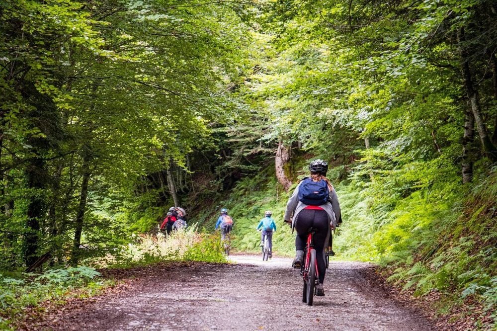 Mountain biking trails France