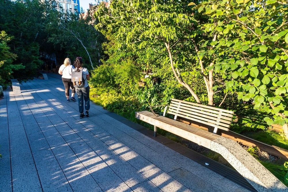 Parc High Line