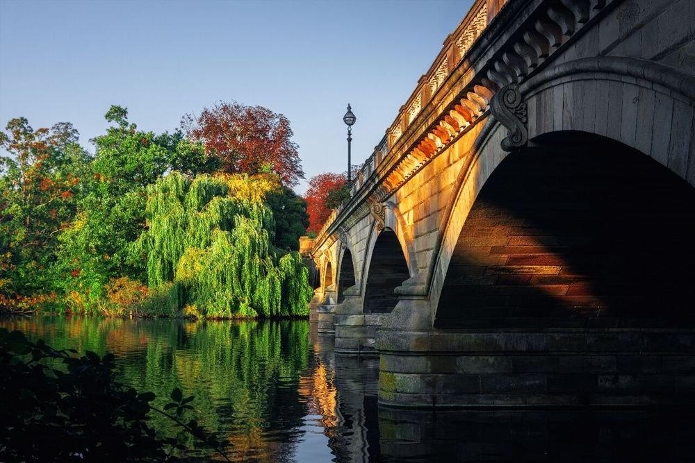 Hyde Park à Londres : le guide complet 2026