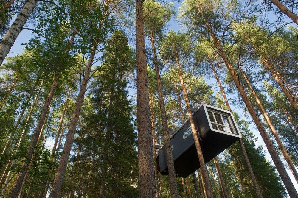 perched treehouses Cévennes