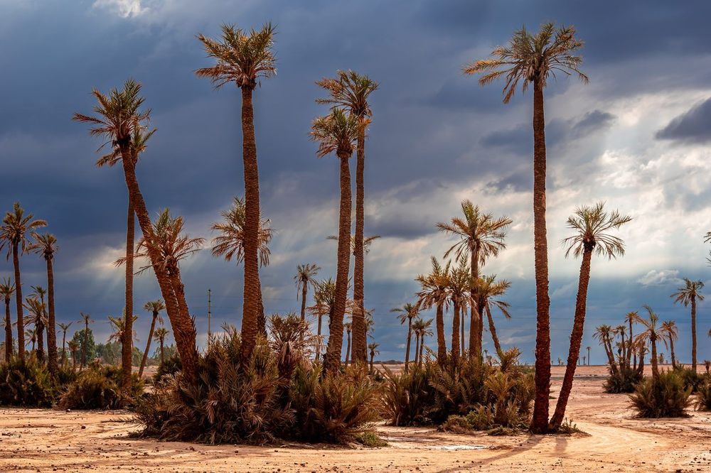 Quand partir au Maroc : le guide complet par saison et région (2026)