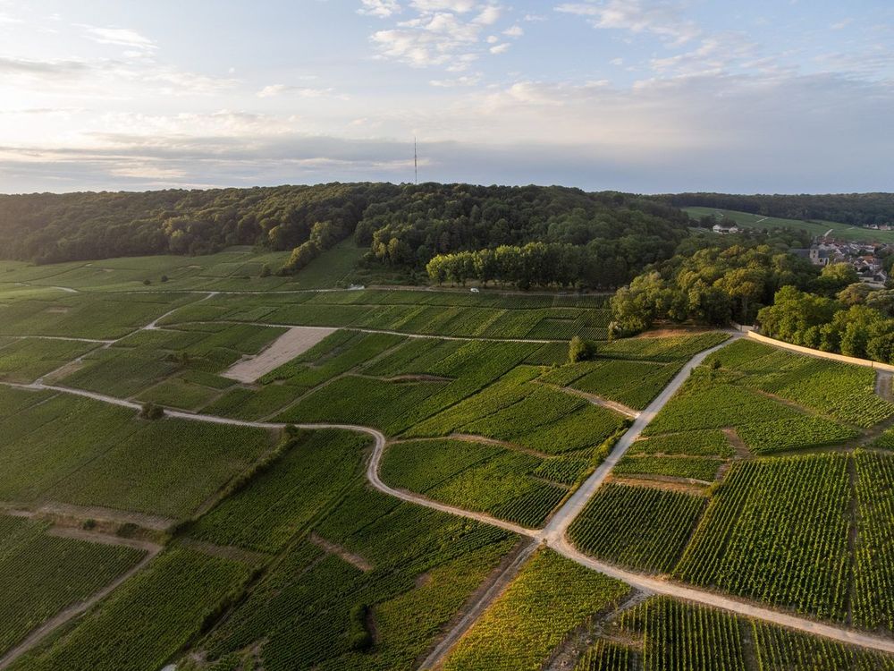 Autour d'Épernay : 12 pépites de Champagne à voir en 2026