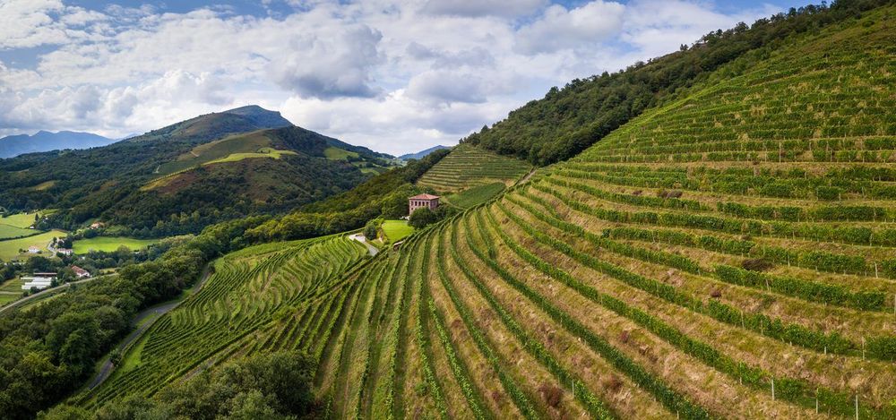 Spécialités basques : le guide gourmand du Pays basque 2026