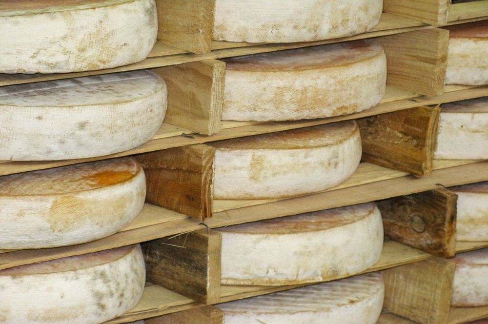 Top 10 Culinary Specialties of Clermont-Ferrand