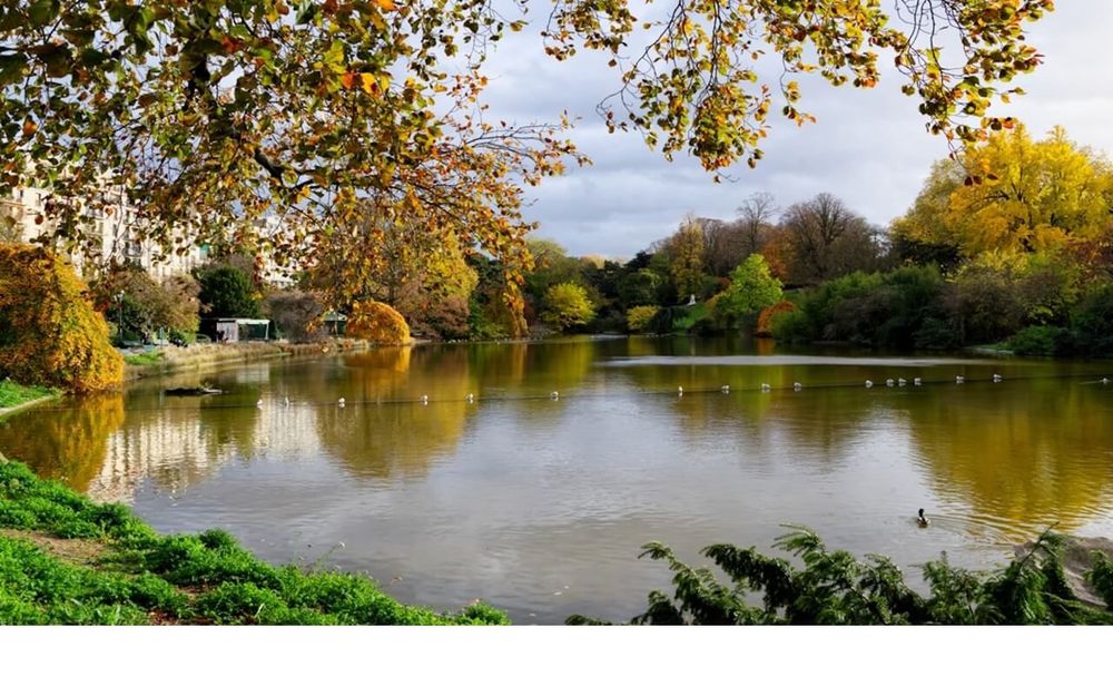 Top 5 Best Swimming Spots in Paris