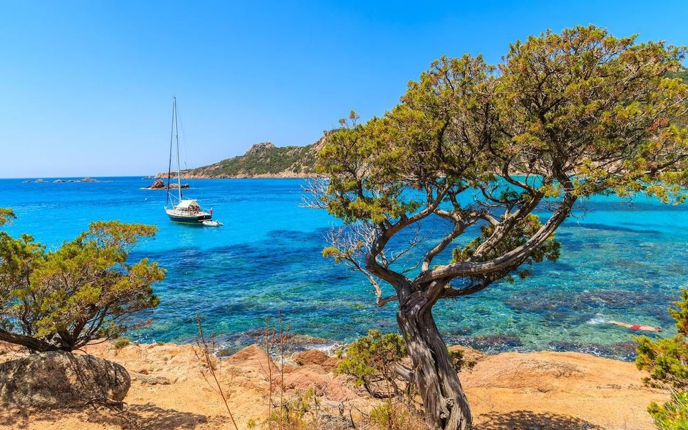 Top 6 des meilleurs campings corse en bord de mer