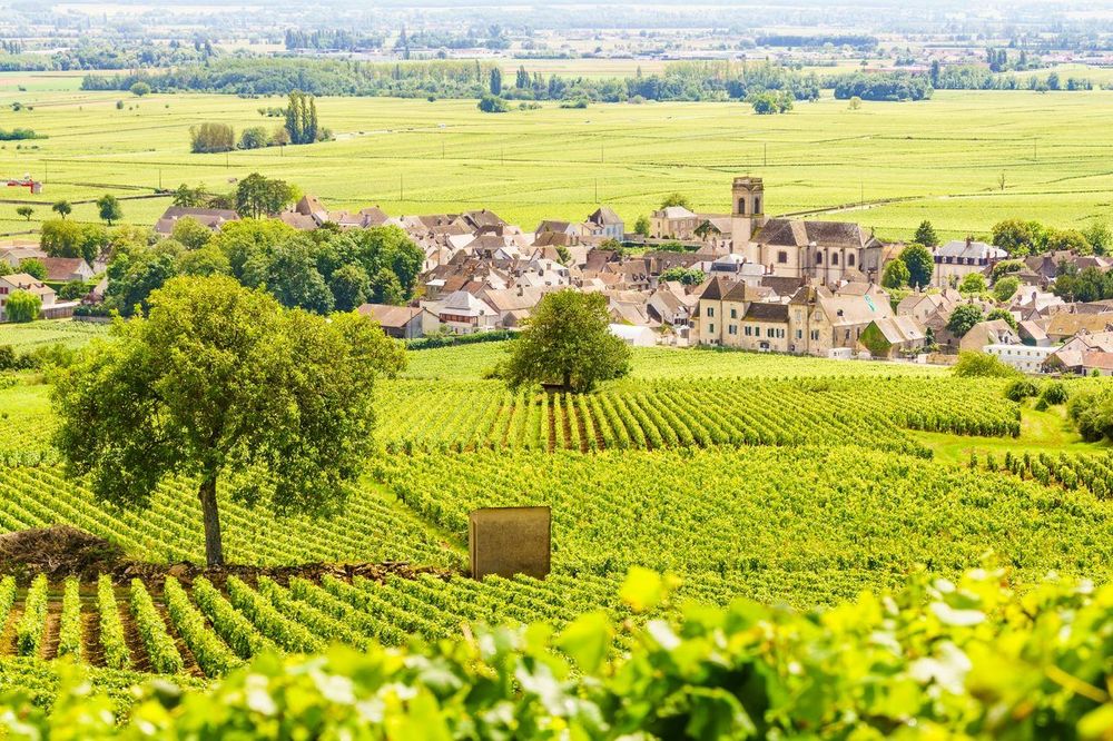 Beaune Borgoña