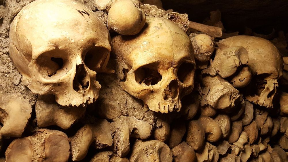 Pixabay Paris activities Paris Catacombs visiting the catacombs