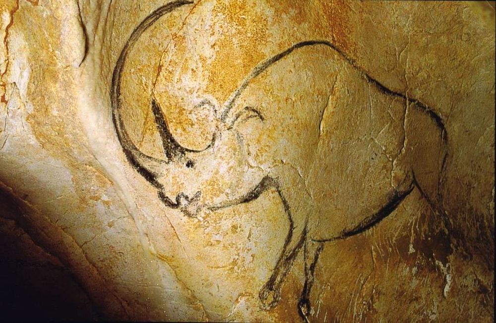 Visiter la Grotte Chauvet en Ardèche