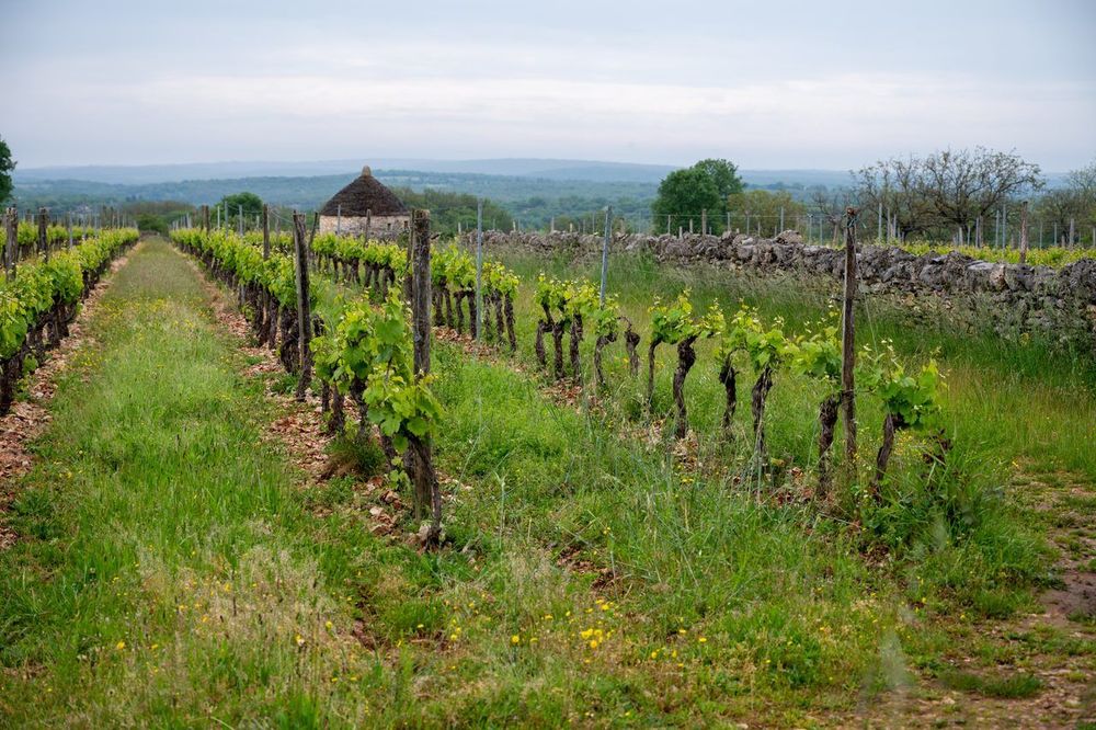 Week-end à Cahors 2026 : patrimoine médiéval, vignoble et vallée du Lot