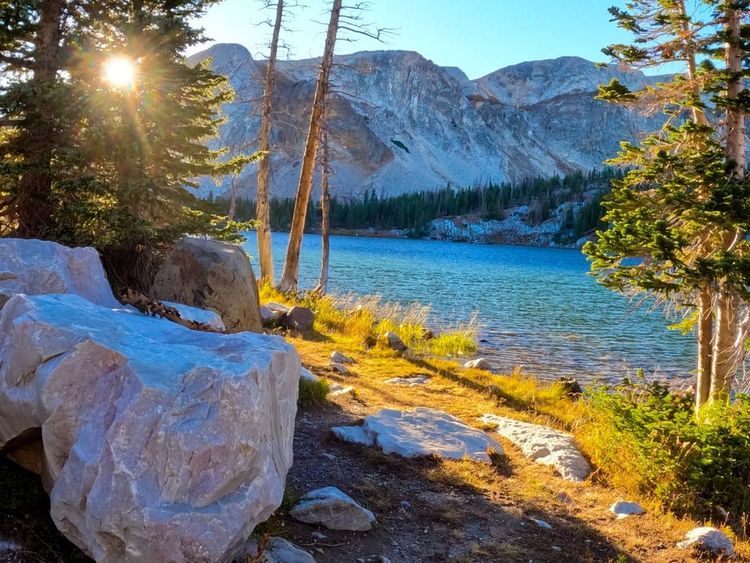 Medicine Bow National Forest