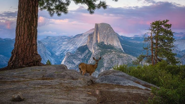 Glacier Point