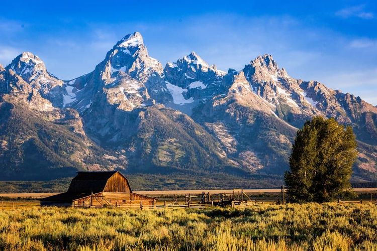 Matinée panoramique dans les Tetons