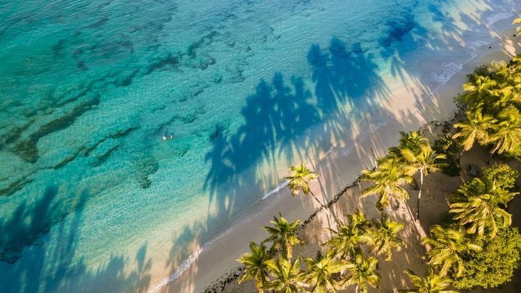 La Plage des Salines