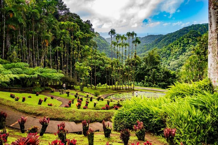 Jardin de Balata
