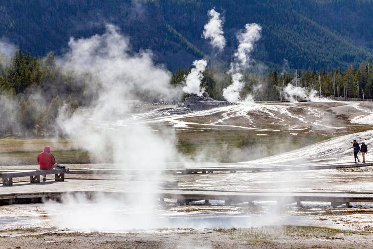 Upper Geyser Basin Area (Old Faithful)