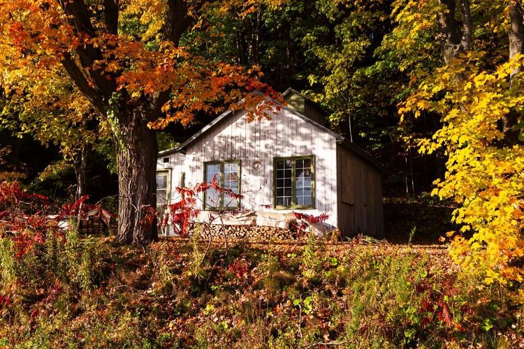 L'expérience de la cabane à sucre