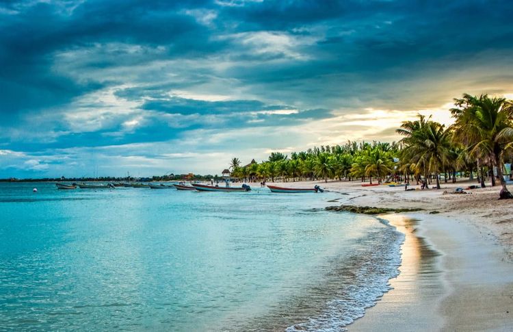 Nager avec les tortues à Akumal