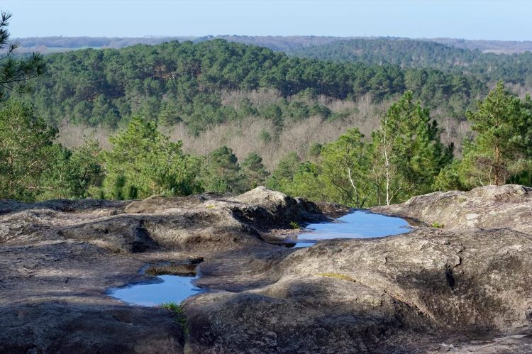 Forêt de Fontainebleau