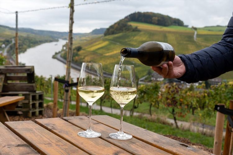 rivière Moselle