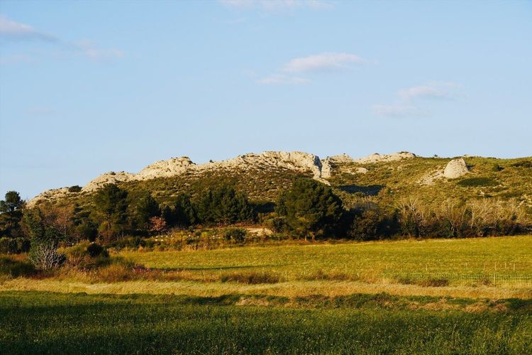 Le Paradou