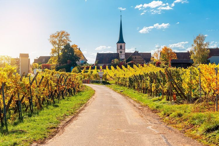 Mittelbergheim Alsace
