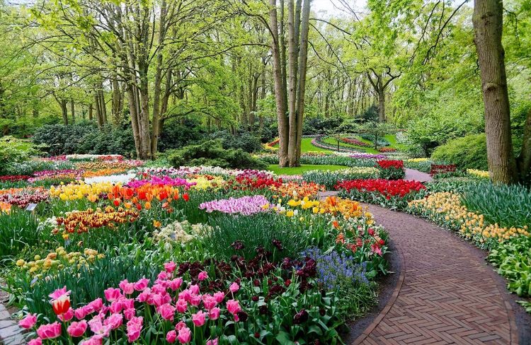 Keukenhof