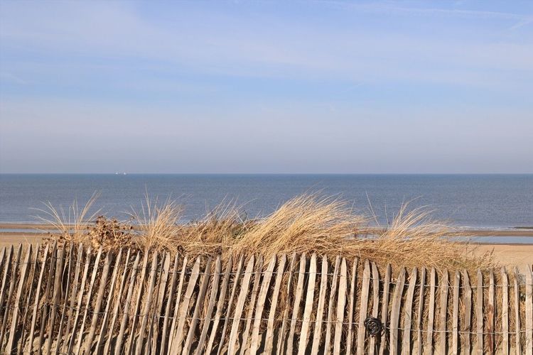 Plage de Zandvoort