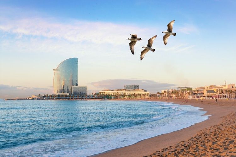 Barceloneta