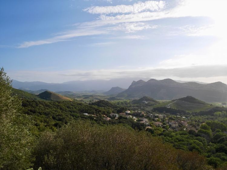 Patrimonio vignoble Corse