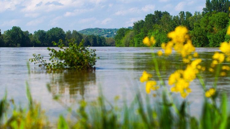 Berges de la Garonne Agen