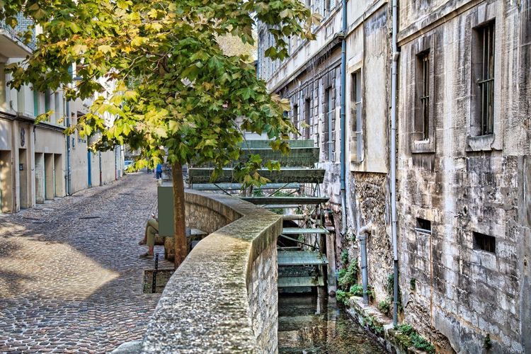 Rue des Teinturiers Avignon