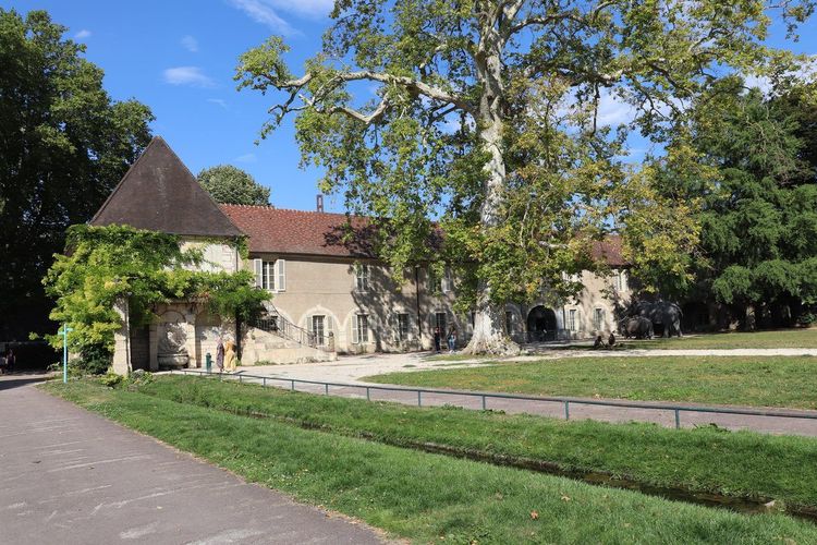 Jardin de l'Arquebuse
