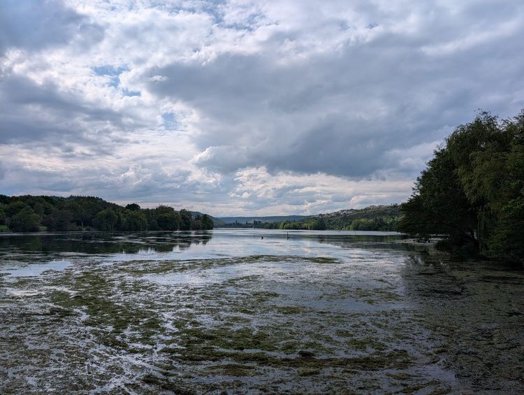 Lac Kir Dijon