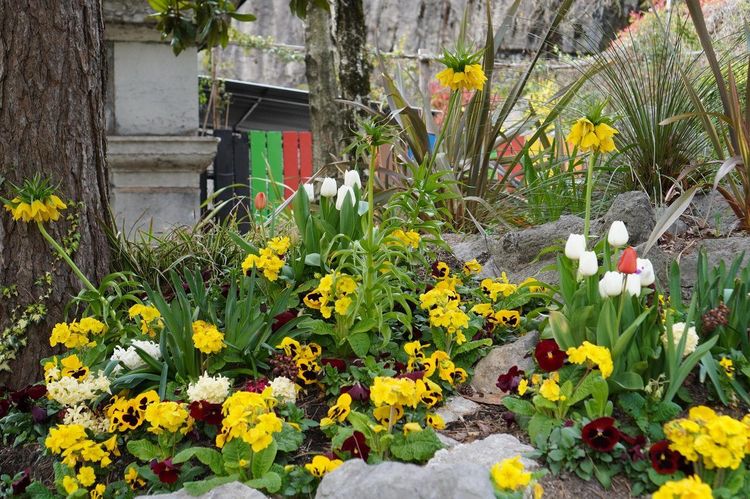 Jardin des Plantes Grenoble