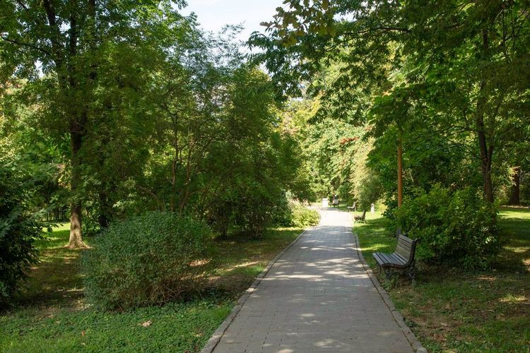 Parc de Rouelles