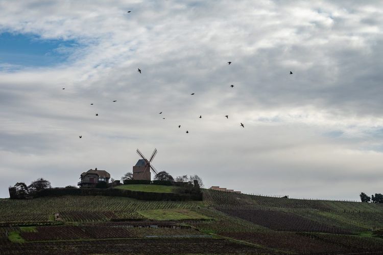 Moulin de Verzenay