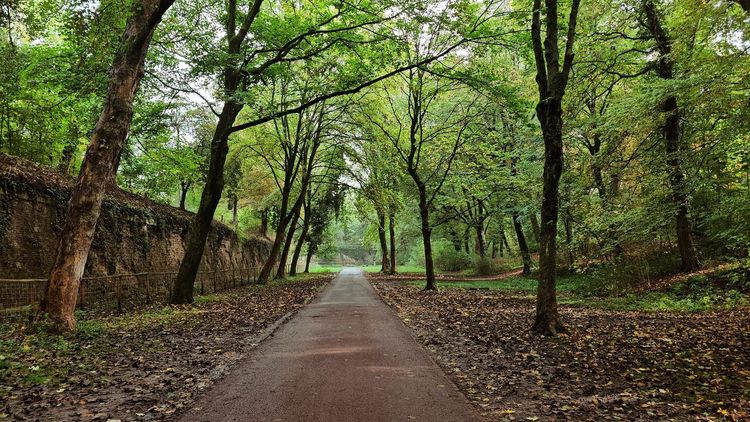 Parc de la Citadelle