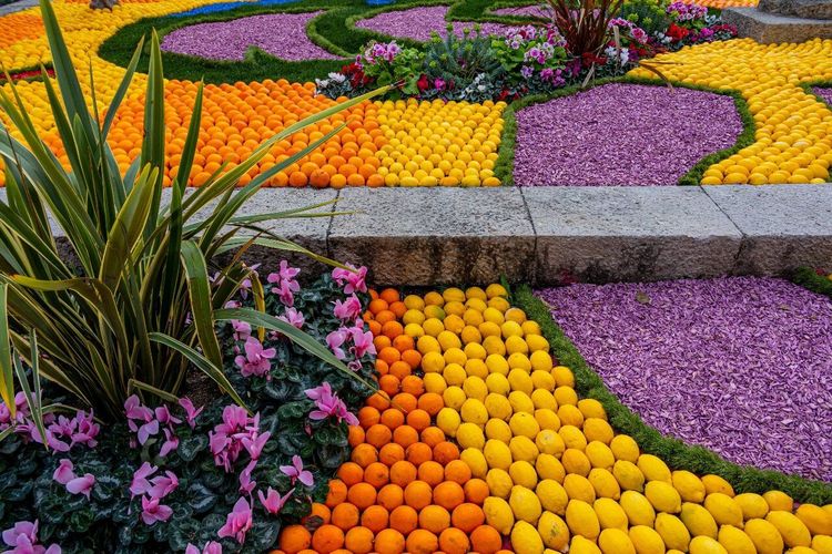 Jardin Biovès