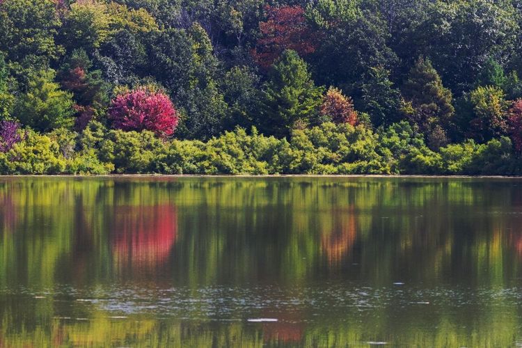 Parc national d'Oka