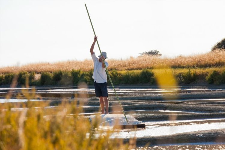 Marais salants Guérande