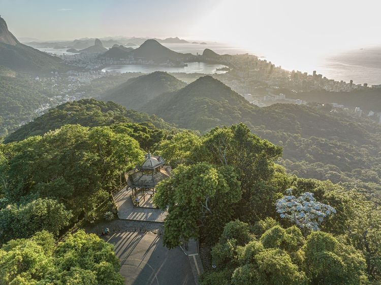 Forêt de Tijuca