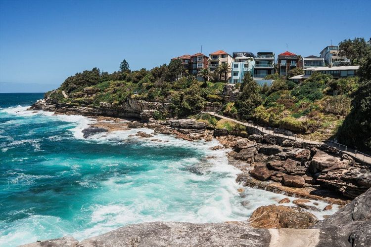 Bondi to Coogee Walk