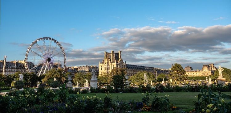 jardin des Tuileries