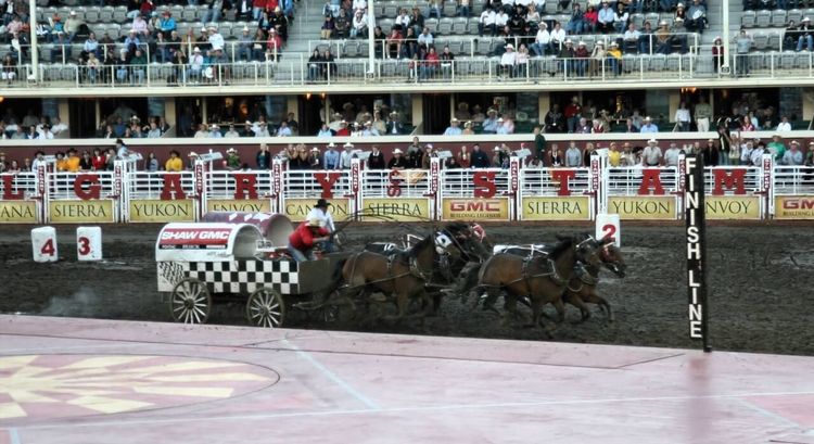 course chuckwagon