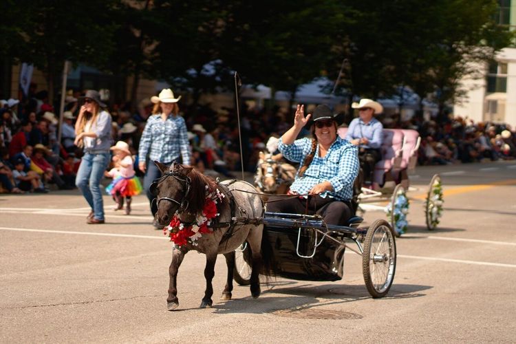 chapeau de cowboy Stampede