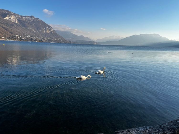 Lac d'Annecy