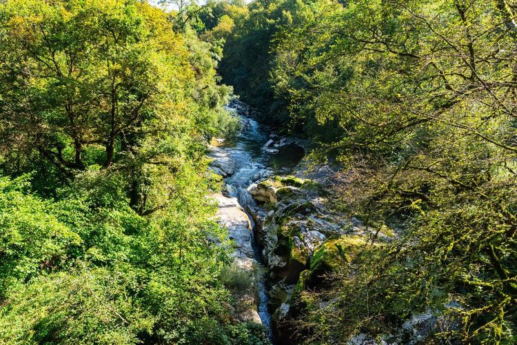Gorges du Fier