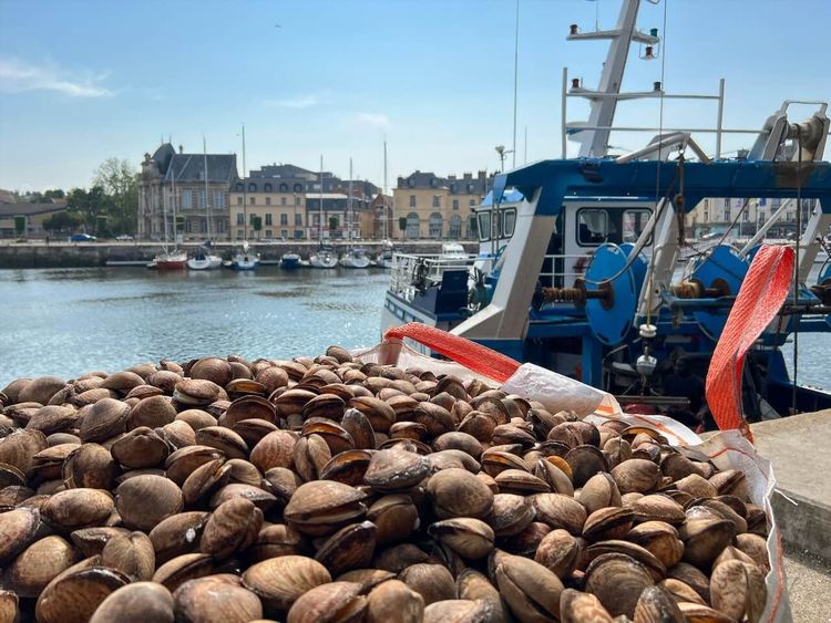 Dieppe port Normandie